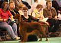 Crufts2010 1902